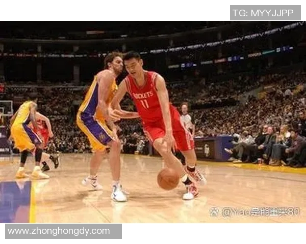 姚明卡套的魅力与收藏价值探讨以及如何选择适合的卡套类型