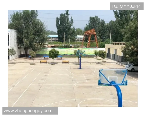 姚明芳之子成长记：从篮球场到人生舞台的精彩旅程