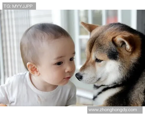 热爱足球与狗狗的传奇球星们的感人故事与生活点滴